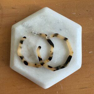 Geometric Tortoise Hoops